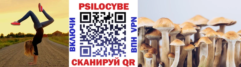 магазин продажи   МЕГА онион  Галлюциногенные грибы GOLDEN TEACHER  Сенгилей 